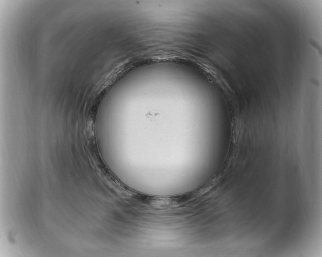 X0000101410521200807071009
