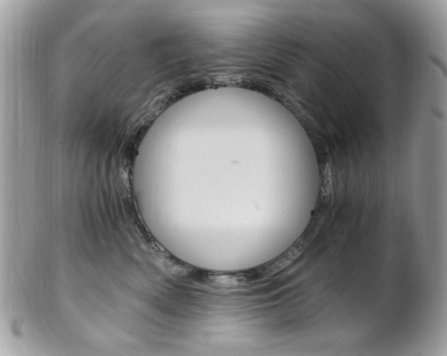 X0000101410522200807071009
