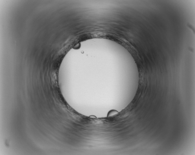 X0000101410523200807071009