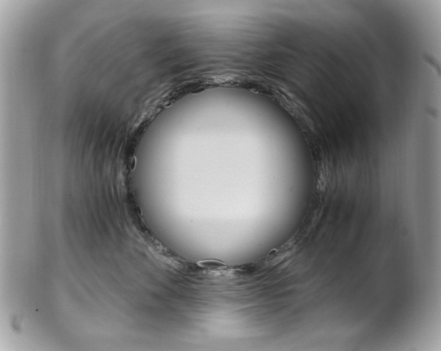X0000101410524200807071009