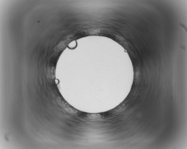 X0000101410525200807071009