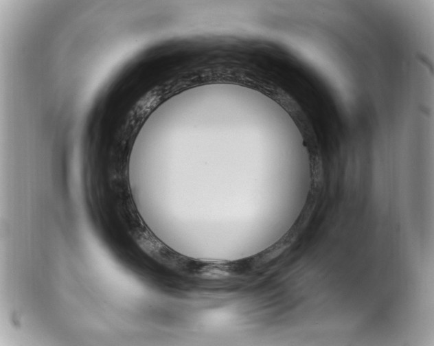 X0000101410526200807071009
