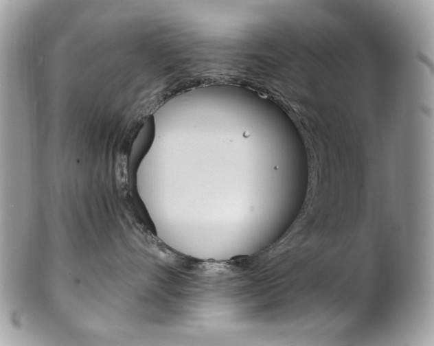 X0000101410528200807071009