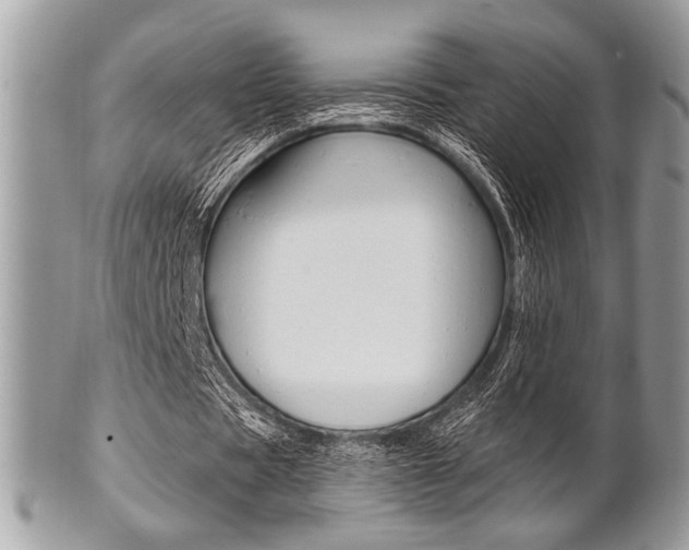 X0000101410529200807071008