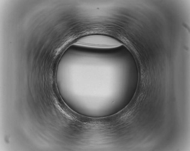 X0000101410530200807071008