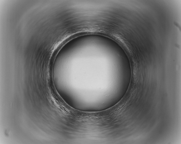 X0000101410532200807071009