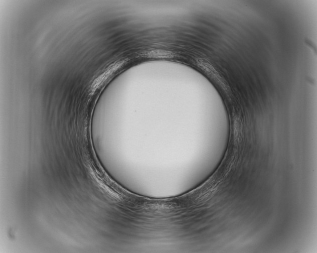 X0000101410533200807071009