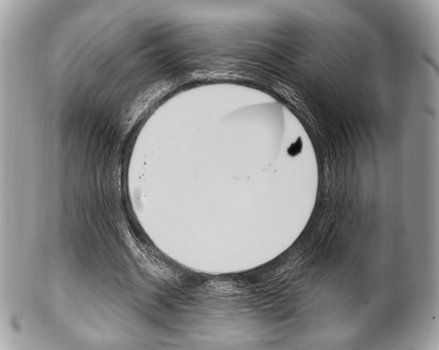 X0000101410534200807071009