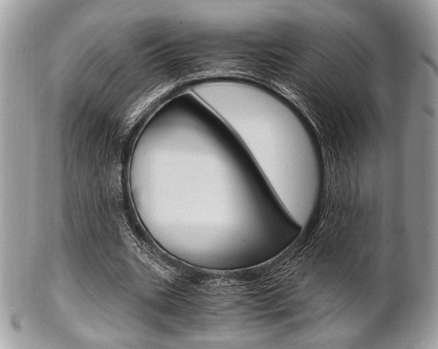 X0000101410535200807071009