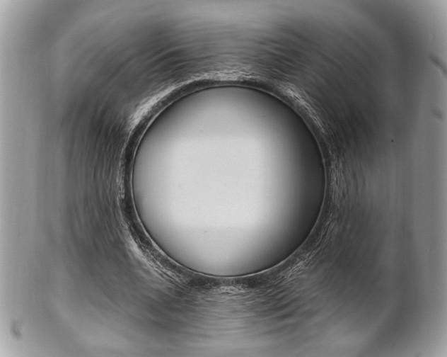 X0000101410536200807071009