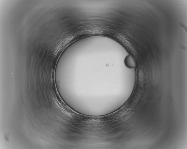 X0000101410537200807071009