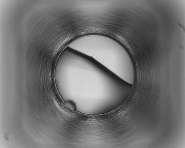 X0000101410538200807071009