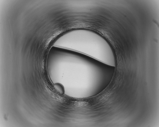 X0000101410539200807071009