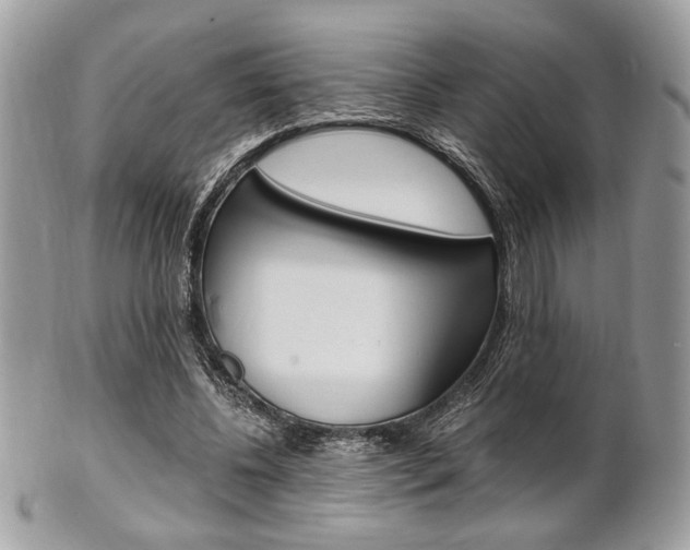 X0000101410540200807071009