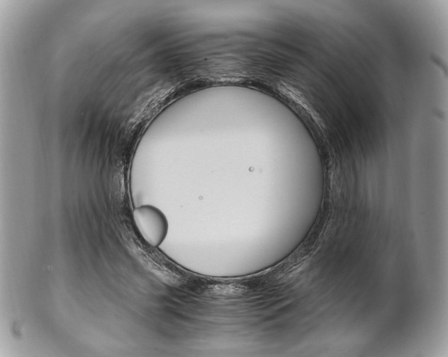 X0000101410541200807071009