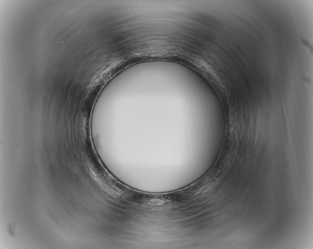 X0000101410542200807071009