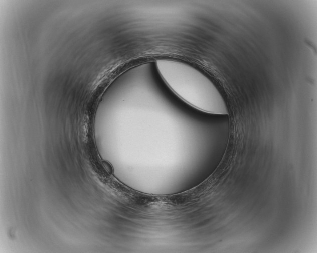 X0000101410544200807071009