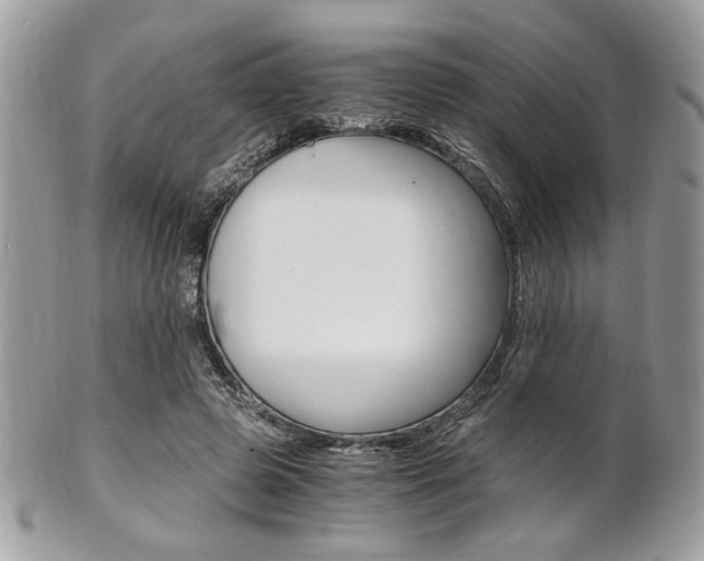 X0000101410545200807071009