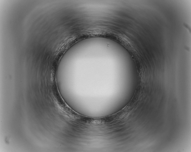 X0000101410546200807071009