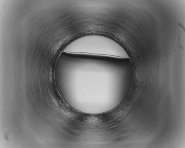 X0000101410547200807071009