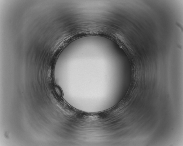 X0000101410548200807071009