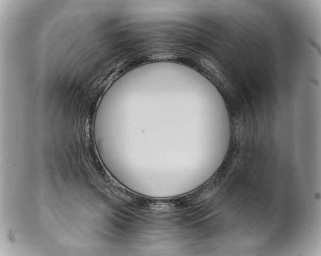 X0000101410549200807071009