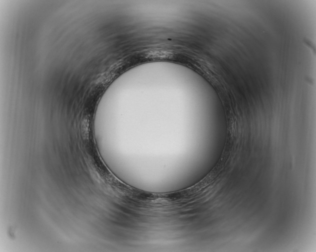 X0000101410551200807071009