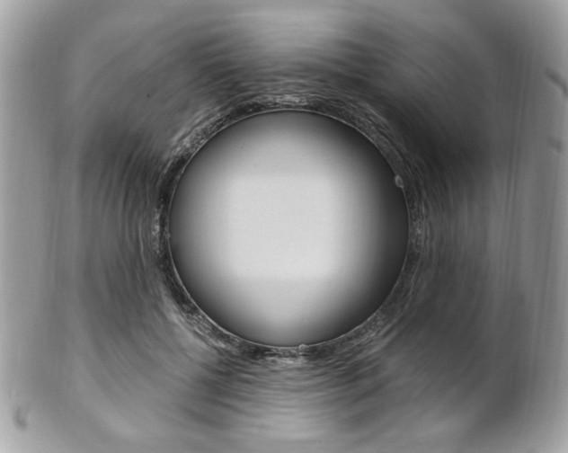 X0000101410552200807071009