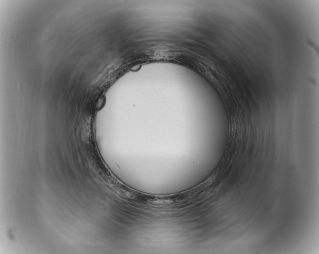 X0000101410554200807071009