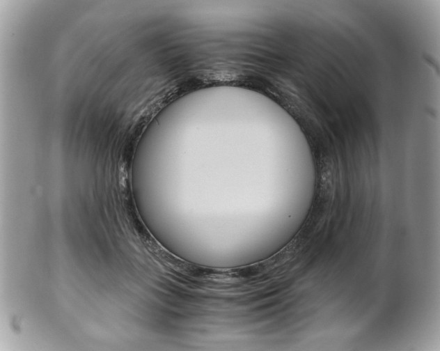 X0000101410555200807071009