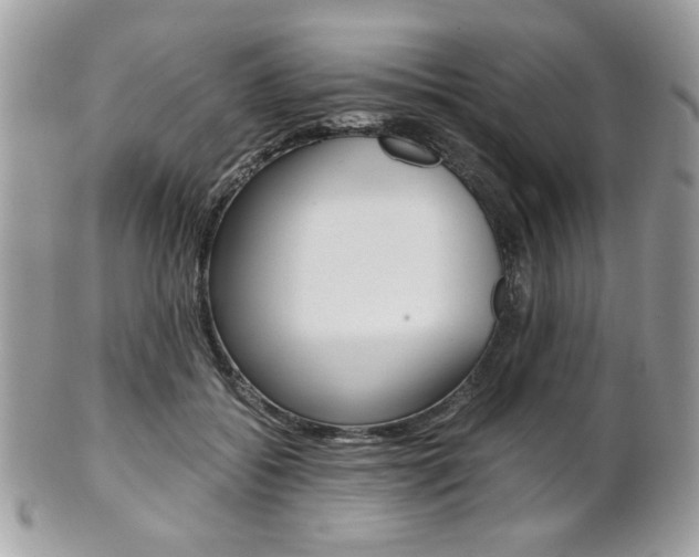 X0000101410556200807071009