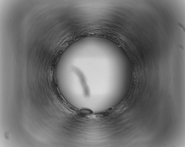 X0000101410558200807071009