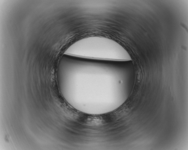 X0000101410559200807071009