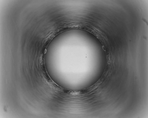 X0000101410560200807071009