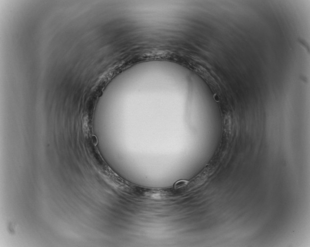 X0000101410564200807071009
