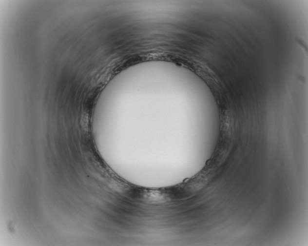 X0000101410565200807071009