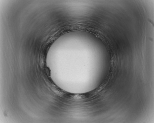 X0000101410566200807071009