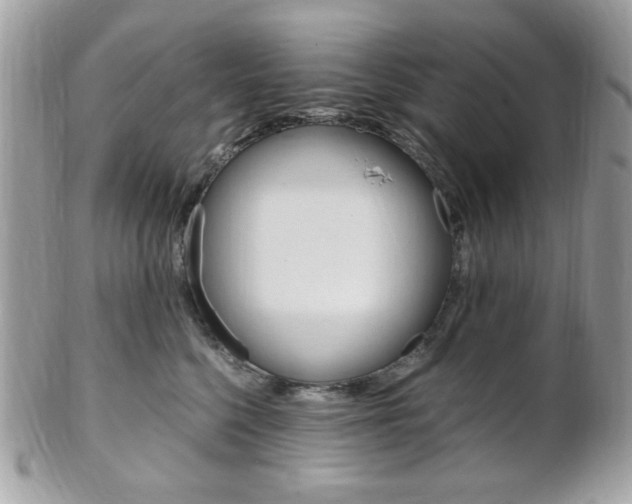 X0000101410568200807071009