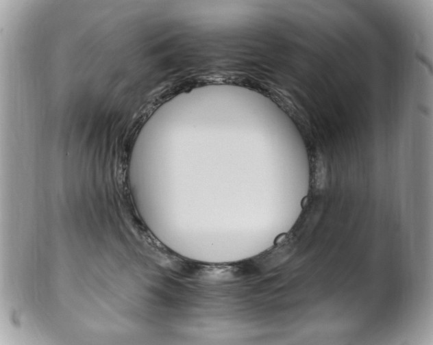 X0000101410569200807071009