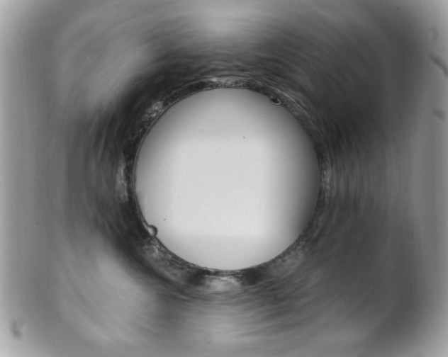 X0000101410572200807071009