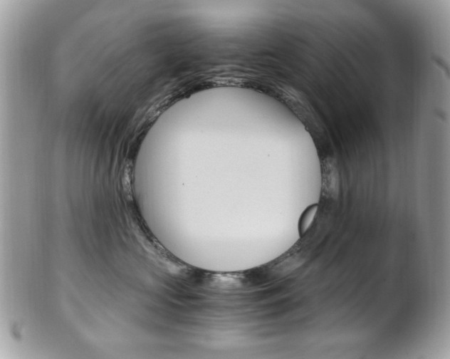 X0000101410573200807071009