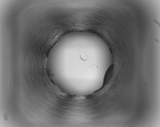 X0000101410576200807071009