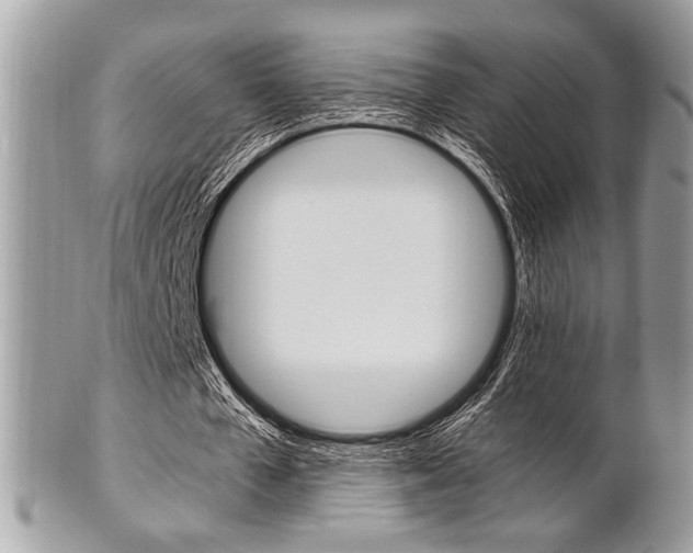 X0000101410577200807071008