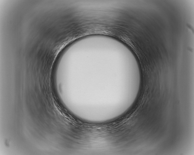 X0000101410579200807071008