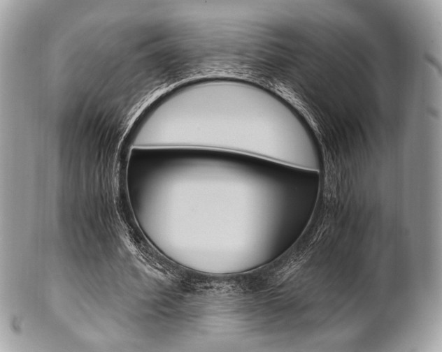 X0000101410580200807071008