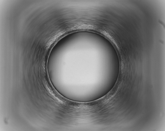 X0000101410581200807071008