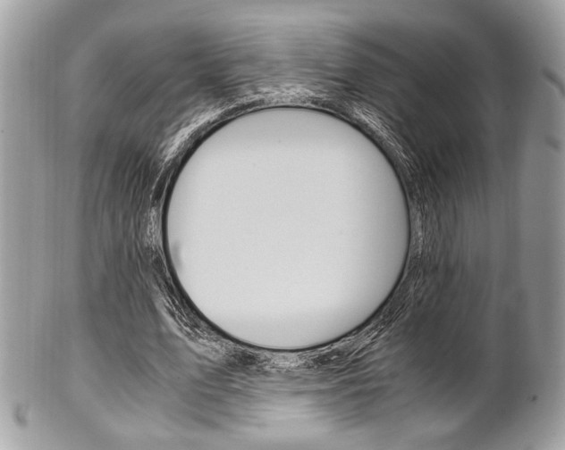 X0000101410583200807071008