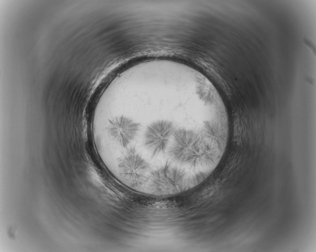X0000101410584200807071008
