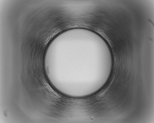 X0000101410585200807071008