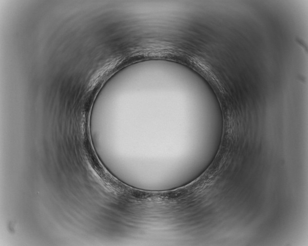 X0000101410586200807071008